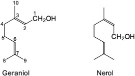 Estructura del geraniol y del nerol