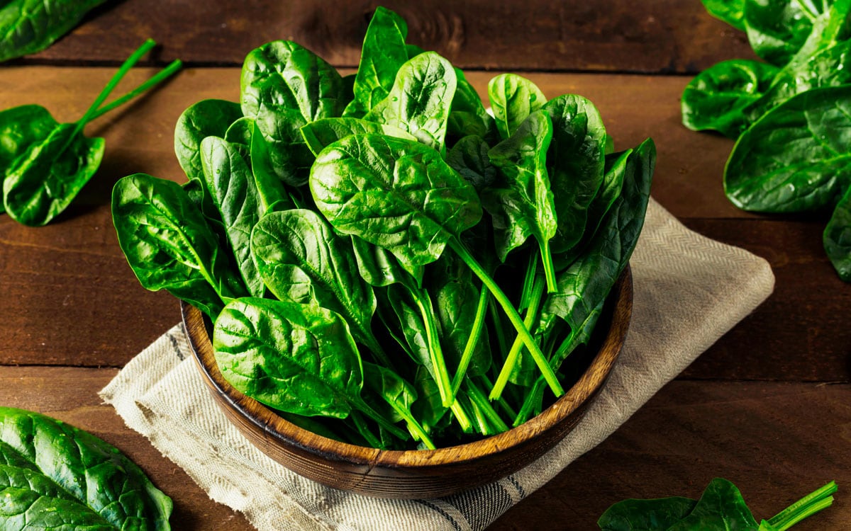 Las mejores recetas con espinacas, sanas y fáciles - Blog Conasi