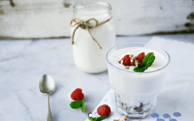 Yogur griego casero en Espressions