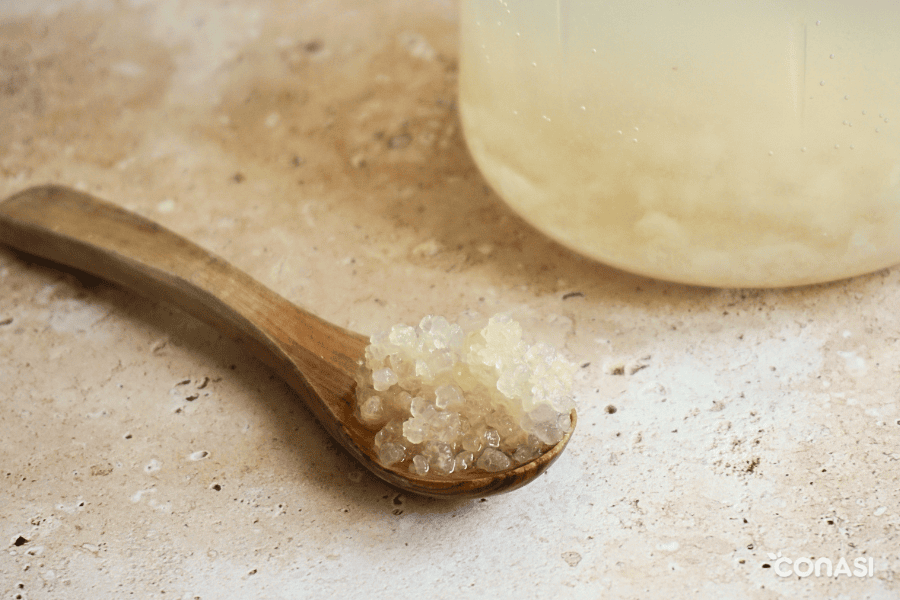 nódulos de kéfir de agua activos y escurridos nódulos de kéfir de agua activos y escurridos