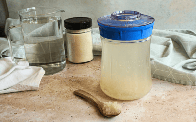Cómo hacer kéfir de agua en casa: guía completa paso a paso