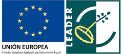 Leader-UE