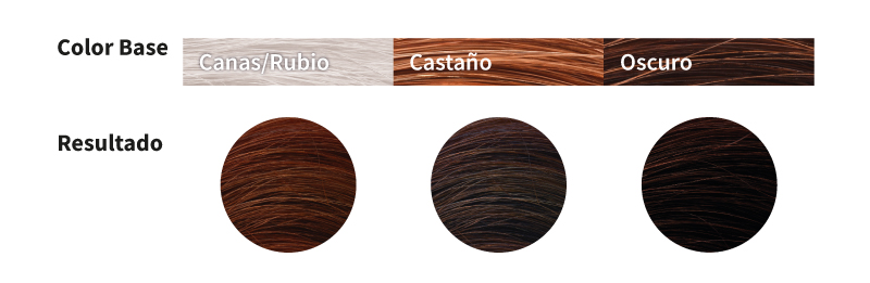 resultado tinte vegetal castaño oscuro caoba Chroma