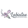 Labiatae