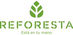 Logo Reforesta