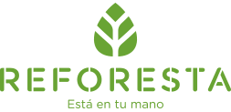 Logo reforesta